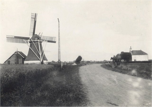roodetilmolen.jpg (48894 bytes)